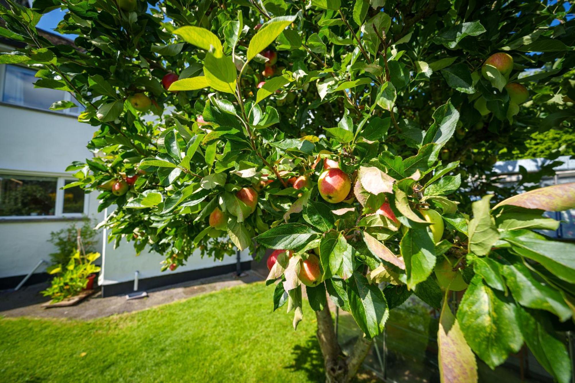 Вилла Apple Byrd - Short Stroll Into Kendal Town Centre Экстерьер фото
